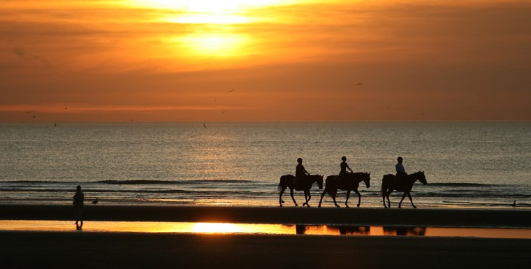 La Manga Activities Horse Riding